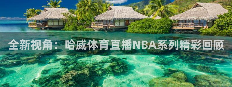 360体育直播吧：全新视角：哈威体育直播NBA系列精彩回顾