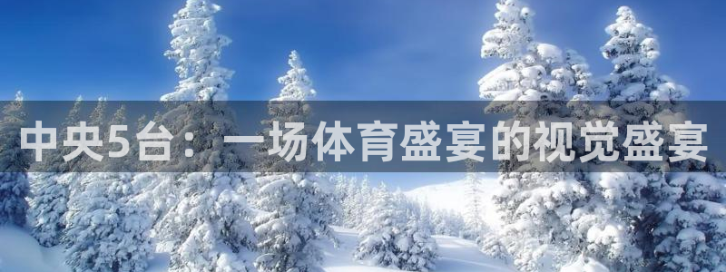 360雨燕直播：中央5台：一场体育盛宴的视觉盛宴