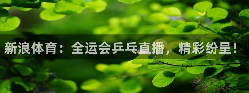 360直播体育赛事直播：新浪体育：全运会乒乓直播，精彩纷呈！