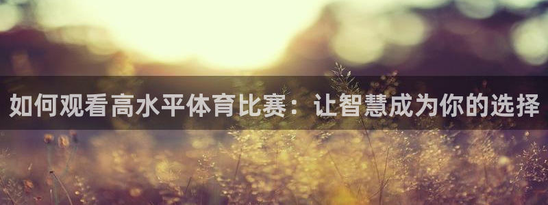 雨燕体育直播360
