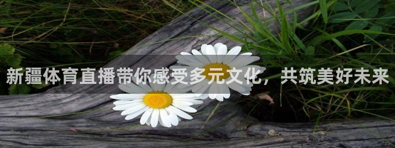 亚冠杯直播360：新疆体育直播带你感受多元文化，共筑美好未来