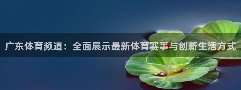 360体育直播吧：广东体育频道：全面展示最新体育赛事与创新生活方式